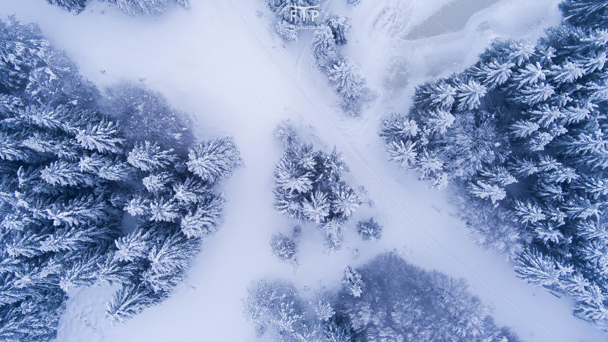 Aubrac neige018